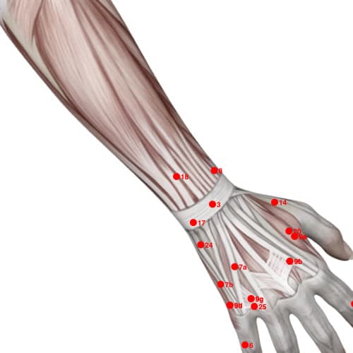 Location of acupuncture point XU18 (Toothache Zero)