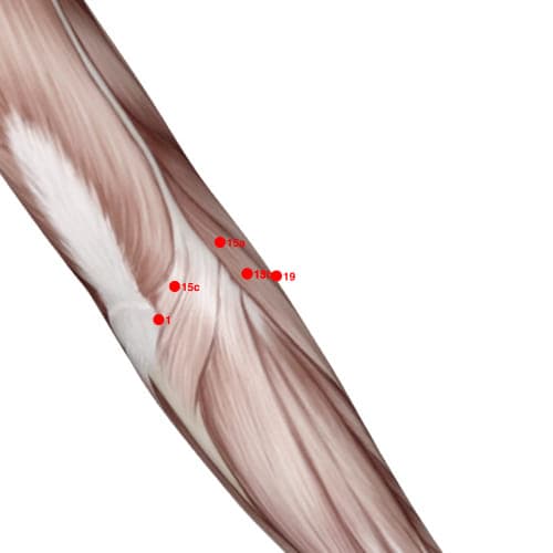 XU19 acupoint