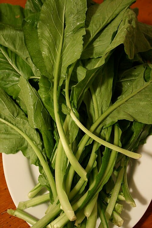 Brassicaceae