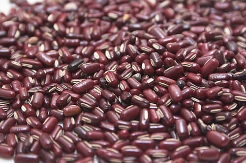 Vigna umbellata