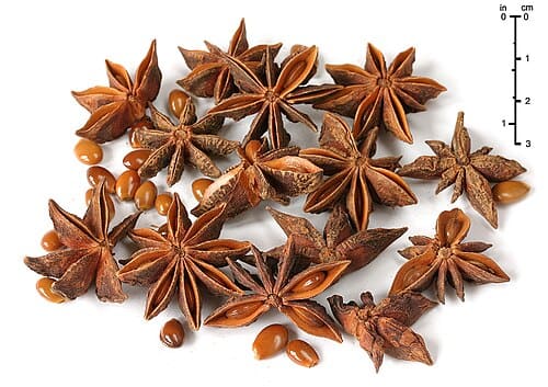 Illicium, standing in for Illicium medicinale