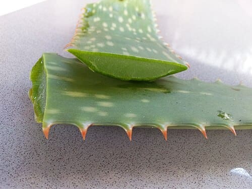 Aloe
