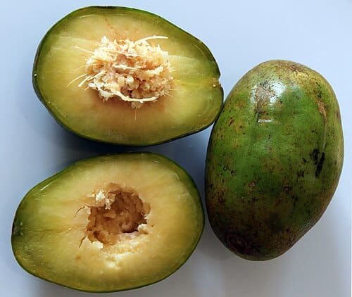 Spondias dulcis
