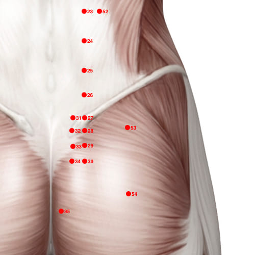 BL53 acupoint