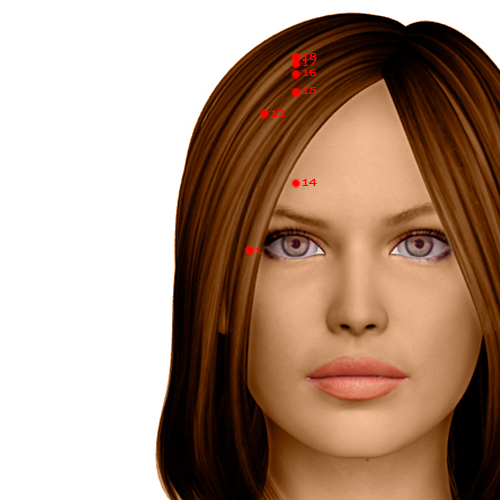 GB01 Acupuncture Point - Gallbladder Meridian Meridian - Pupil Crevice - Dermal view
