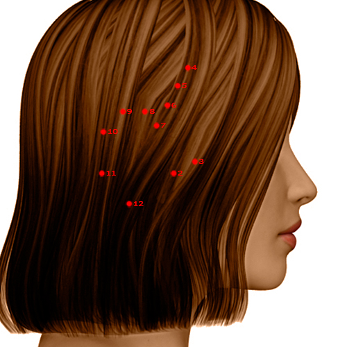GB02 Acupuncture Point - Gallbladder Meridian Meridian - Hearing Convergence - Dermal view