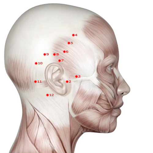 GB03 Acupuncture Point - Gallbladder Meridian Meridian - Above The Arch - Muscular view