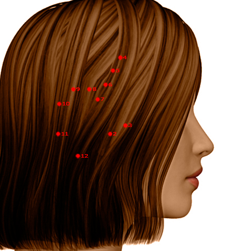 GB03 Acupuncture Point - Gallbladder Meridian Meridian - Above The Arch - Dermal view