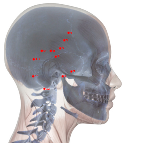 GB03 Acupuncture Point - Gallbladder Meridian Meridian - Above The Arch - Skeletal view