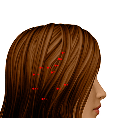 GB05 Acupuncture Point - Gallbladder Meridian Meridian - Suspended Skull - Dermal view