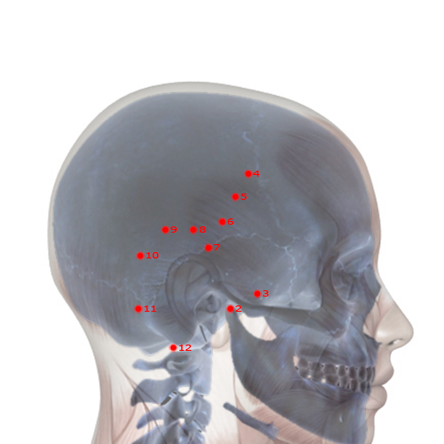 GB06 Acupuncture Point - Gallbladder Meridian Meridian - Suspended Tuft - Skeletal view