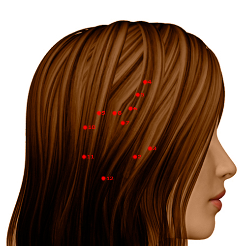 GB07 Acupuncture Point - Gallbladder Meridian Meridian - Temporal Hairline Curve - Dermal view