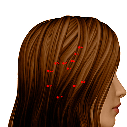 GB08 Acupuncture Point - Gallbladder Meridian Meridian - Leading Valley - Dermal view