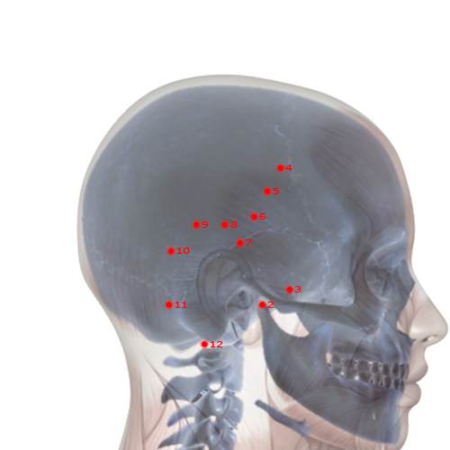 GB08 Acupuncture Point - Gallbladder Meridian Meridian - Leading Valley - Skeletal view