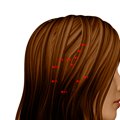 GB09 Acupuncture Point - Gallbladder Meridian Meridian - Heavenly Surge - Dermal view