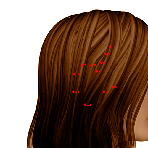 GB10 Acupuncture Point - Gallbladder Meridian Meridian - Floating White - Dermal view