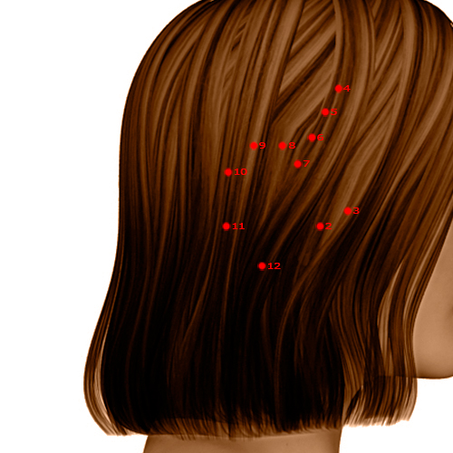 GB11 Acupuncture Point - Gallbladder Meridian Meridian - Head Portal Yin - Dermal view