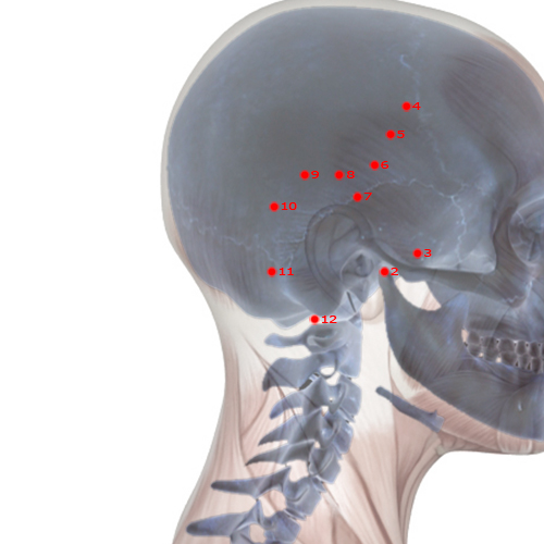 GB11 Acupuncture Point - Gallbladder Meridian Meridian - Head Portal Yin - Skeletal view