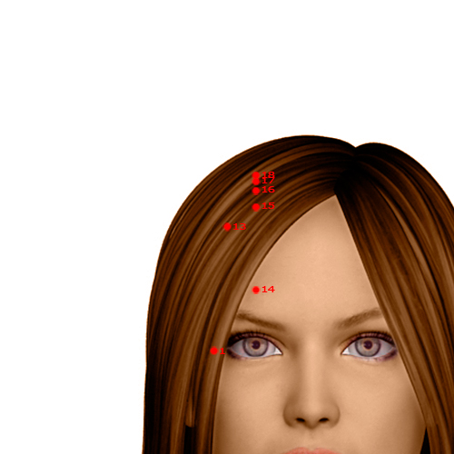 GB13 Acupuncture Point - Gallbladder Meridian Meridian - Spirit Root - Dermal view