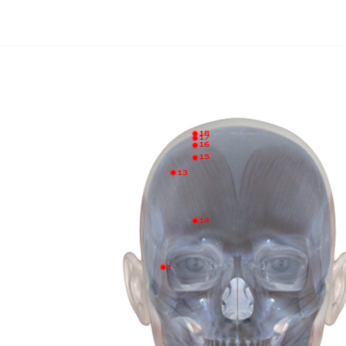 GB13 Acupuncture Point - Gallbladder Meridian Meridian - Spirit Root - Skeletal view