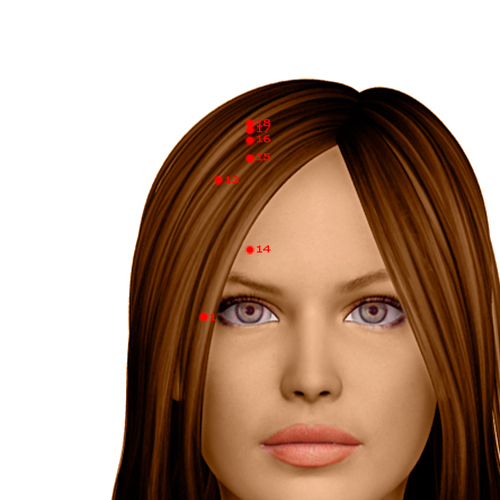 GB14 Acupuncture Point - Gallbladder Meridian Meridian - Yang Bright - Dermal view