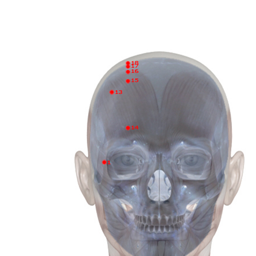 GB14 Acupuncture Point - Gallbladder Meridian Meridian - Yang Bright - Skeletal view