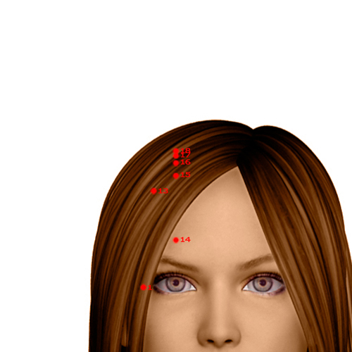 GB15 Acupuncture Point - Gallbladder Meridian Meridian - Head Governor Of Tears - Dermal view
