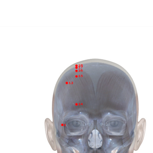 GB15 Acupuncture Point - Gallbladder Meridian Meridian - Head Governor Of Tears - Skeletal view