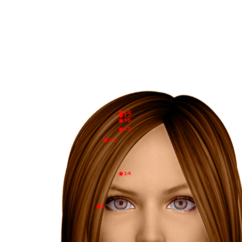 GB16 Acupuncture Point - Gallbladder Meridian Meridian - Eye Windows - Dermal view