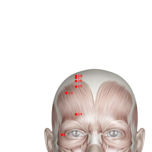 GB18 Acupuncture Point - Gallbladder Meridian Meridian - Spirit Support - Muscular view