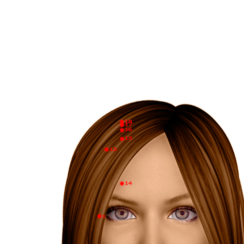 GB18 Acupuncture Point - Gallbladder Meridian Meridian - Spirit Support - Dermal view