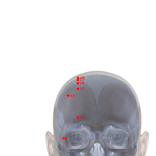 GB18 Acupuncture Point - Gallbladder Meridian Meridian - Spirit Support - Skeletal view