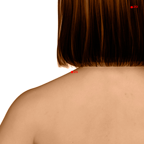 GB21 Acupuncture Point - Gallbladder Meridian Meridian - Shoulder Well - Dermal view