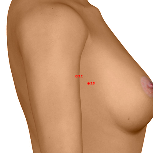 GB22 Acupuncture Point - Gallbladder Meridian Meridian - Armpit Source - Dermal view
