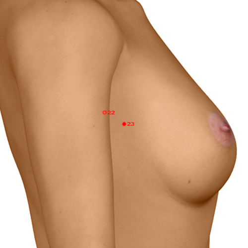 GB23 Acupuncture Point - Gallbladder Meridian Meridian - Sinew Seat - Dermal view
