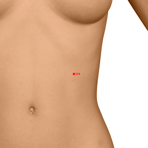 GB24 Acupuncture Point - Gallbladder Meridian Meridian - Sun And Moon - Dermal view