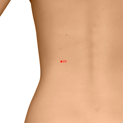 GB25 Acupuncture Point - Gallbladder Meridian Meridian - Capital Gate - Dermal view
