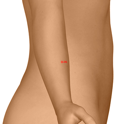 GB26 Acupuncture Point - Gallbladder Meridian Meridian - Girdle Vessel - Dermal view