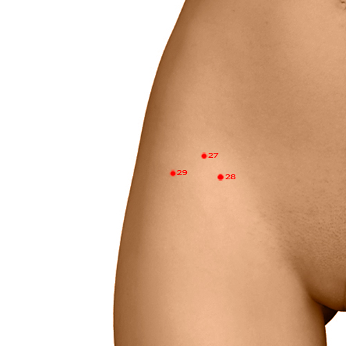 GB29 Acupuncture Point - Gallbladder Meridian Meridian - Squatting Bone Hole - Dermal view
