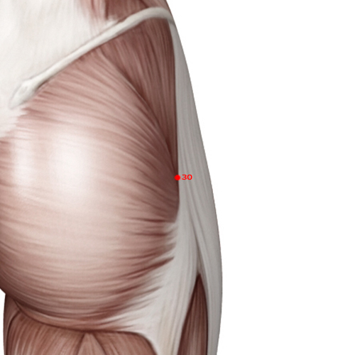 GB30 Acupuncture Point - Gallbladder Meridian Meridian - Jumping Circle - Muscular view