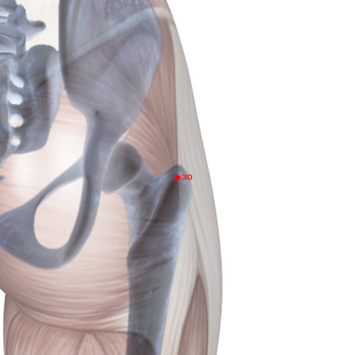 GB30 Acupuncture Point - Gallbladder Meridian Meridian - Jumping Circle - Skeletal view