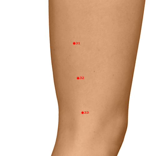 GB32 Acupuncture Point - Gallbladder Meridian Meridian - Ditch Centre - Dermal view