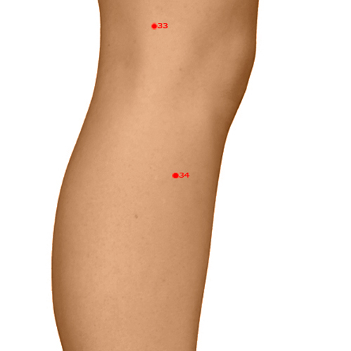 GB34 Acupuncture Point - Gallbladder Meridian Meridian - Yang Mound Spring - Dermal view