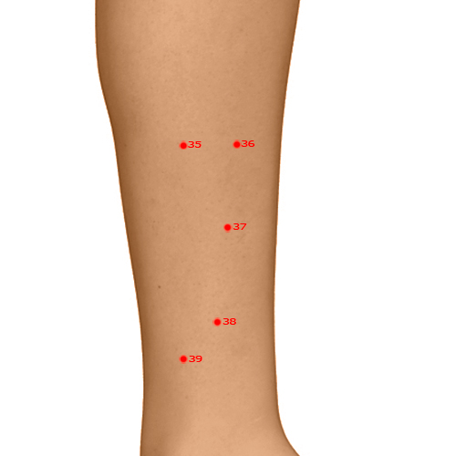 GB37 Acupuncture Point - Gallbladder Meridian Meridian - Bright Light - Dermal view