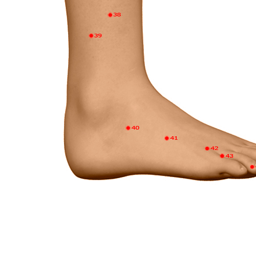 GB40 Acupuncture Point - Gallbladder Meridian Meridian - Mound - Dermal view