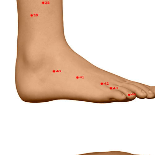 GB41 Acupuncture Point - Gallbladder Meridian Meridian - Foot Governor Of Tears - Dermal view
