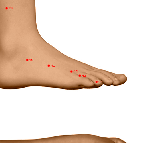 GB42 Acupuncture Point - Gallbladder Meridian Meridian - Earth Fivefold Convergence - Dermal view