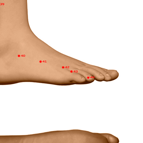 GB43 Acupuncture Point - Gallbladder Meridian Meridian - Narrow Stream - Dermal view