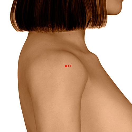 LI15 Acupuncture Point - Large Intestine Meridian Meridian - Shoulder And Clavicle - Dermal view