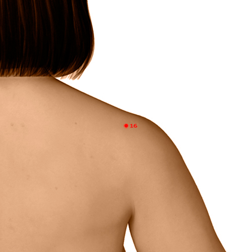 LI16 Acupuncture Point - Large Intestine Meridian Meridian - Great Bone - Dermal view